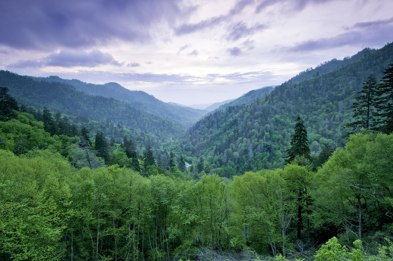 Great Smoky Mountains with morning fog